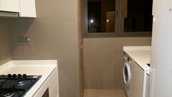 Skyline Residences (D4), Condominium #557057631
